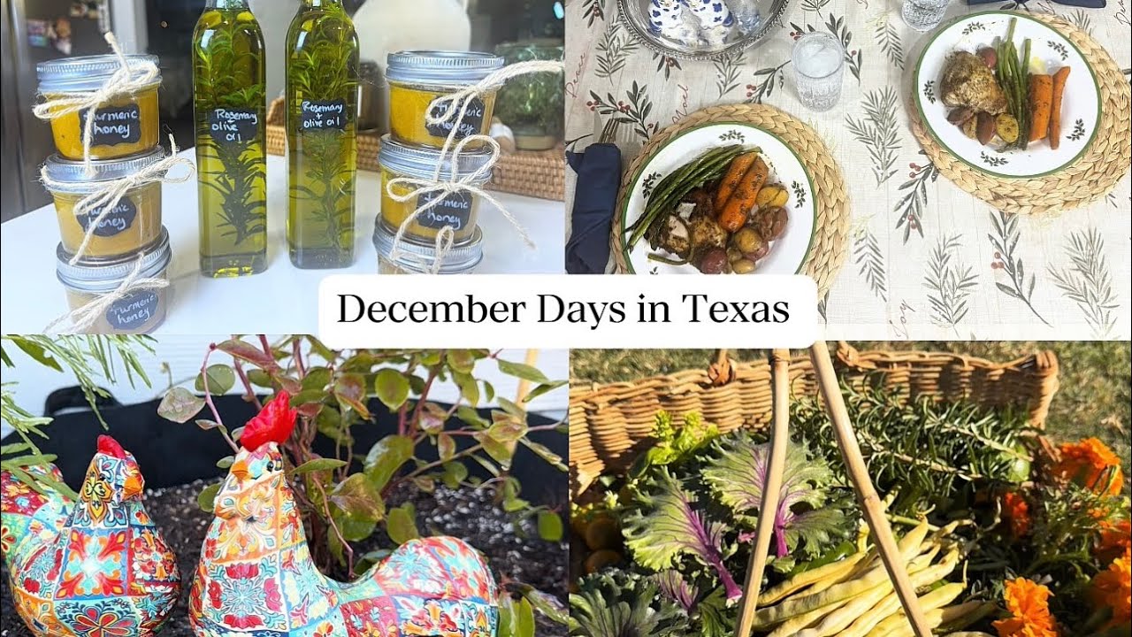 Cozy December | Gardening in Winter | Homemade Christmas Gifts | Chicken and Veggies | ASMR