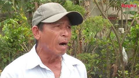 Gấp rút giải phóng mặt bằng cao tốc Phan Thiết - Dầu Giây