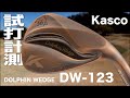 キャスコ『DOLPHIN WEDGE DW-123』試打
