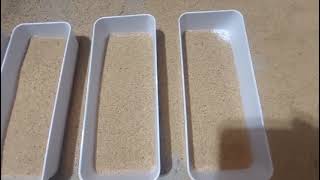 Reinigung Von Amaranth Auf Einem Gewichtsausleser Jgt 12