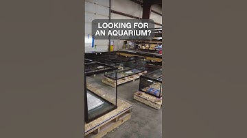 A Tank For Every Occasion! #shorts #fishtank #aquariumhobby