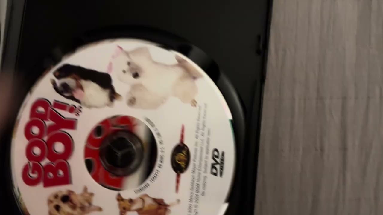Good Boy 2004 DVD Review 