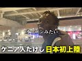 たけしが日本にやってきた