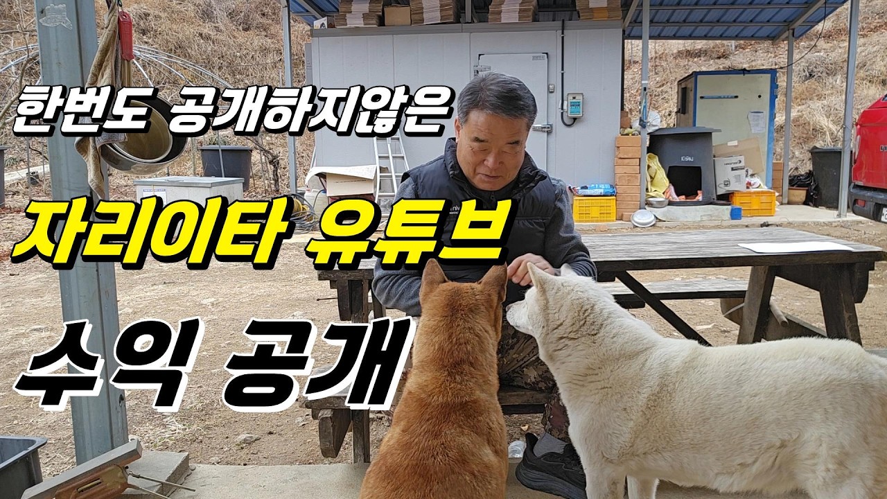 여러분들의 조언에 대한 저의 견해와 유튜브 수익 공개