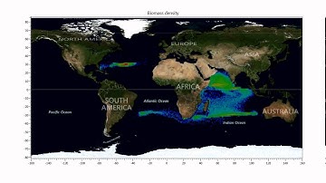 Second Advective Dispersal Experiment