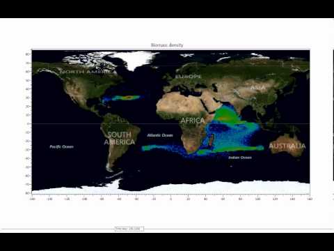 Second Advective Dispersal Experiment