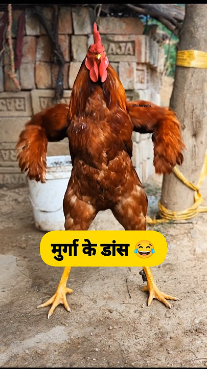 मुर्गा के डांस 😂🤣 #thetharpuns #heharpuns #funny #murga #dance
