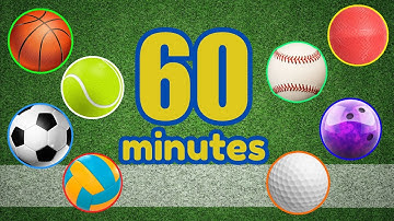 60 Minutes Learn Sports Ball Names | Easy English Ball Names for All