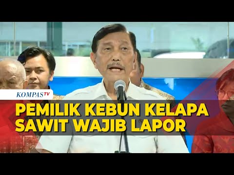 Luhut Binsar Pandjaitan Wajibkan Pemilik Kebun Kelapa Sawit Melapor ke Pemerintah Mulai 3 Juli