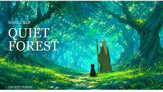 Noble Elf Quiet Forest - Soft Celtic Fantasy Lofi for Relaxing & Calm