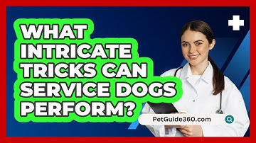 What Intricate Tricks Can Service Dogs Perform? - PetGuide360.com