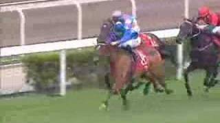 2006 Hong Kong Cup 香港盃