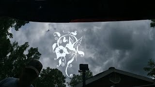 11303 Swirl Vine Flower Hummingbird Vinyl Car  Truck Window Decal Sticker
