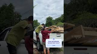 Proses bongkar palet | Kayuku Jati Belanda #barangbekas #limbahkayu #bisnis #shorts #youtubeshorts