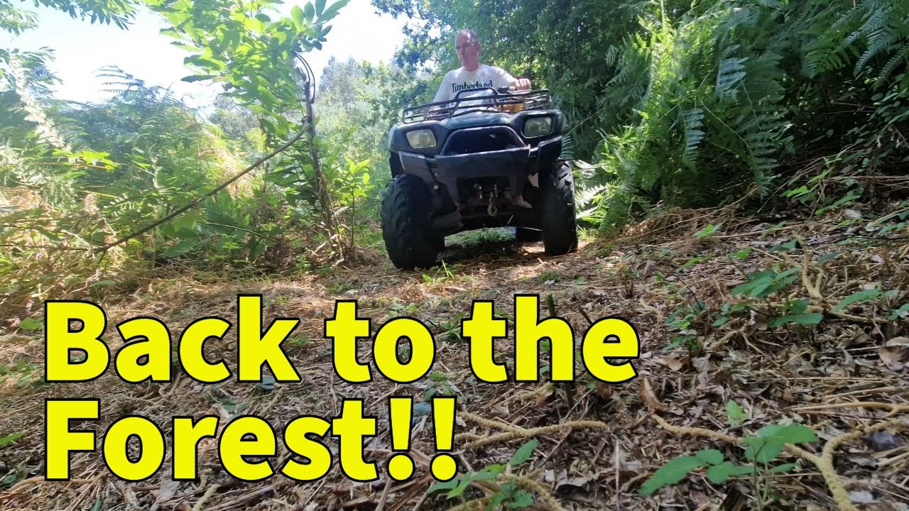 Clearing the Forgotten Forest | Revealing More of Our Hidden Water Source in Rural Portugal