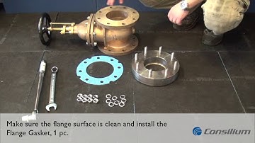 SAL T MSSBSV H Step 2 - Mounting the sea valve