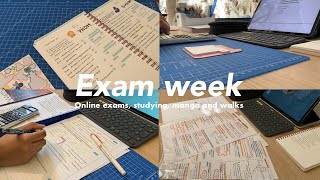 Exam week | 3 day study vlog | Korean planner and lots of studying