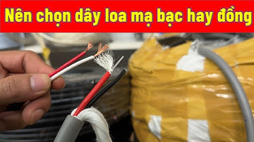 nên chọn dây loa mạ bạc hay lõi đông