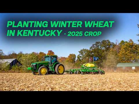 Planting 2025s Wheat Crop - Wheat Crop 2025