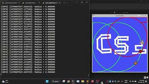 ROS | TurtleSim Project | CSE304 | 18CSE033