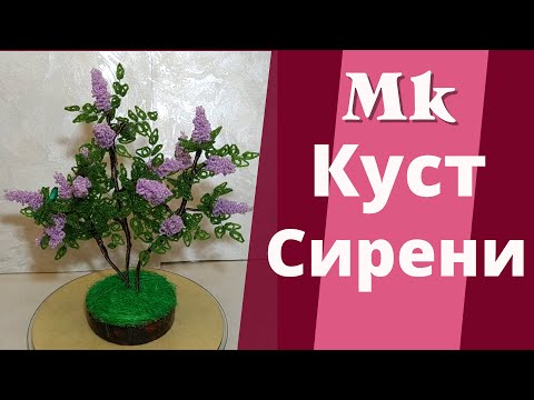 Video: Сирень ашканасы: интерьерде сирень көлөкөсүн колдонуу өзгөчөлүктөрү