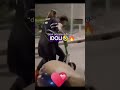 Tonyeffebaby777 E Emma Insieme Sul Monopattinoрџ Ј Tonyeffe Emmamarrone Perte Viralvideo Tonyeffebaby777 E Emma Insieme Sul Monopattinoрџ Ј Tonyeffe Emmamarrone Perte Viralvideo