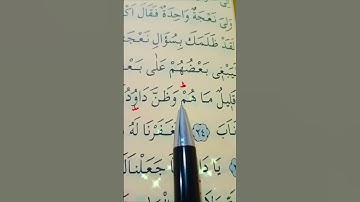 سورة ص الأية 24 إلى 25 القارئ سعد الغامدي #قران_كريم
