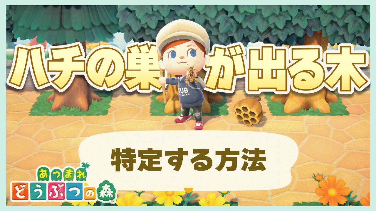 【あつ森】ハチの巣が出る木🐝特定方法を解説します😉　＃あつ森