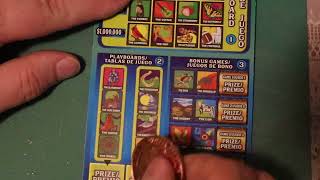 I bought an ENTIRE BOOK of Loteria. $500 worth. Profit session or break even?