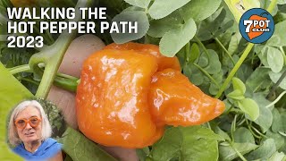 Walking the Hot Pepper Path 2023 by 7 Pot Club 7,366 views 6 months ago 12 minutes, 59 seconds