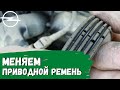 Opel Astra H. Замена приводного ремня (ремня генератора)