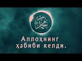 Go Zal Nashida Allohning Habibi Keldi Munshidaat Guruhi Go Zal Nashida Allohning Habibi Keldi Munshidaat Guruhi