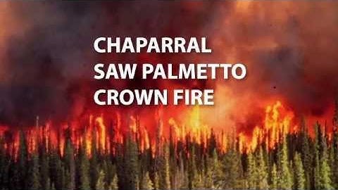 Introduction to Live Fuel Moisture