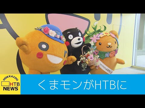 熊モン 楽天市場】KUMA14 くまモンステッカー ZZZ ゆるキャラ 人気 くま