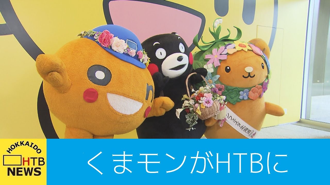 くまモン」がHTBに！記者が突撃インタビュー onちゃんとも共演