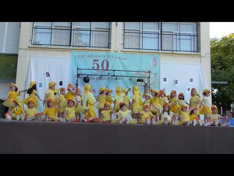 Pajaritos a Bailar