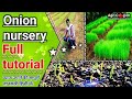 How to sow onion nursery simple way.प्याज नर्सरी उगाने की सम्पूर्ण जानकारी।।#onion@DkGarden