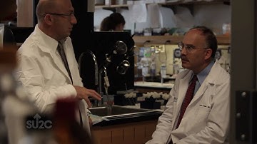 Progress Report: SU2C-CTC Chip Dream Team