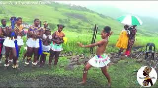 Kwa Zulu Tribe Ceremony Traditional Zulu African Dance