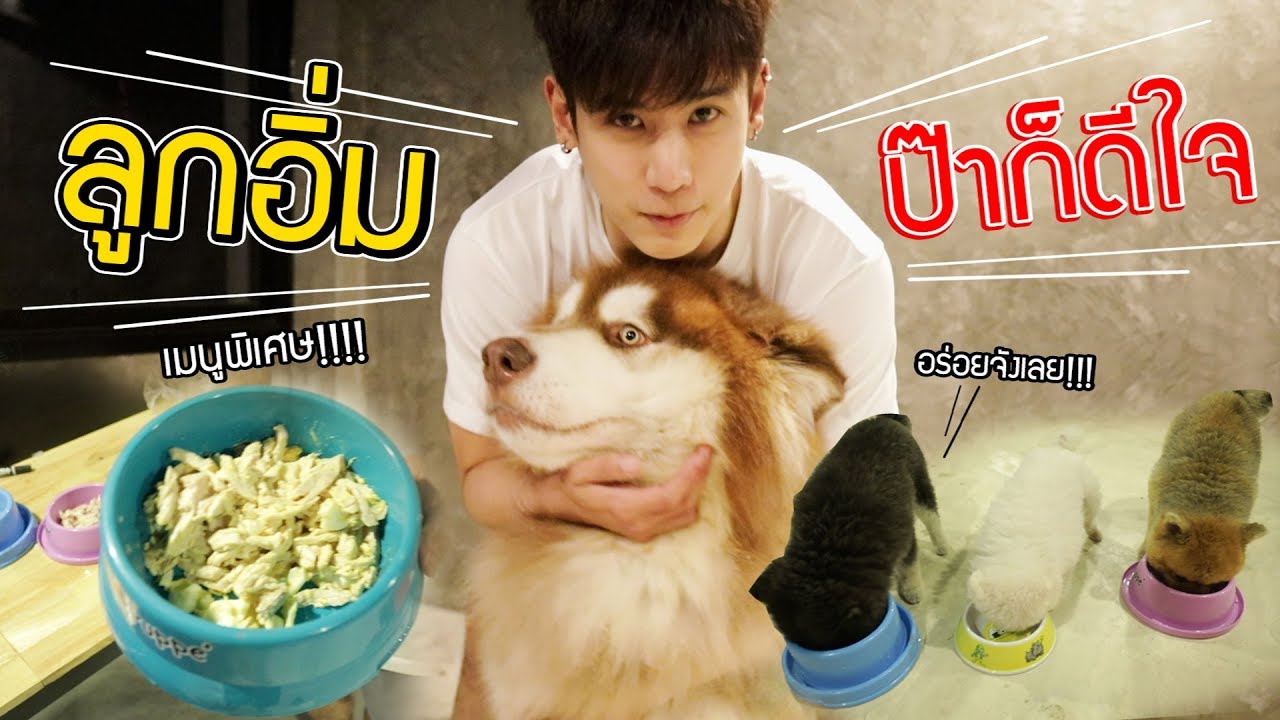 เมื่อลูกๆดื้อไม่ยอมกินข้าว! คุณพ่อจะทำอย่างไร!!? l ก็ผมมีลูกเป็นหมา EP.61 | ข้อมูลทั้งหมดเกี่ยวกับลูก หมา ไม่ ยอม กิน อาหารที่แม่นยำที่สุด