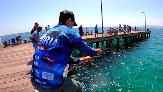 BIG FISH - JETTY FISHING