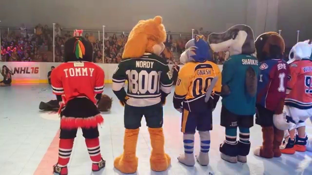 Mascot hockey, All the mascots get together to play a game …