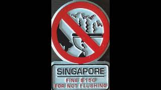 Flushing Law In Singapore