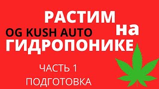 КАК ВЫРАСТИТЬ АВТИК НА ГИДРОПОНИКЕ? | РАСТИМ С MARS HYDRO | ГИДРОПОНИКА | ВЫРАЩИВАНИЕ НА ГИДРОПОНИКЕ