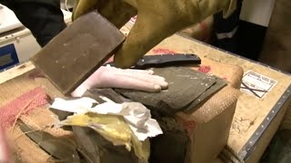 Stoktaki uyuşturucu: yeni ilaç yolları