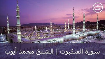 29 | سورة العنكبوت | الشيخ محمد أيوب