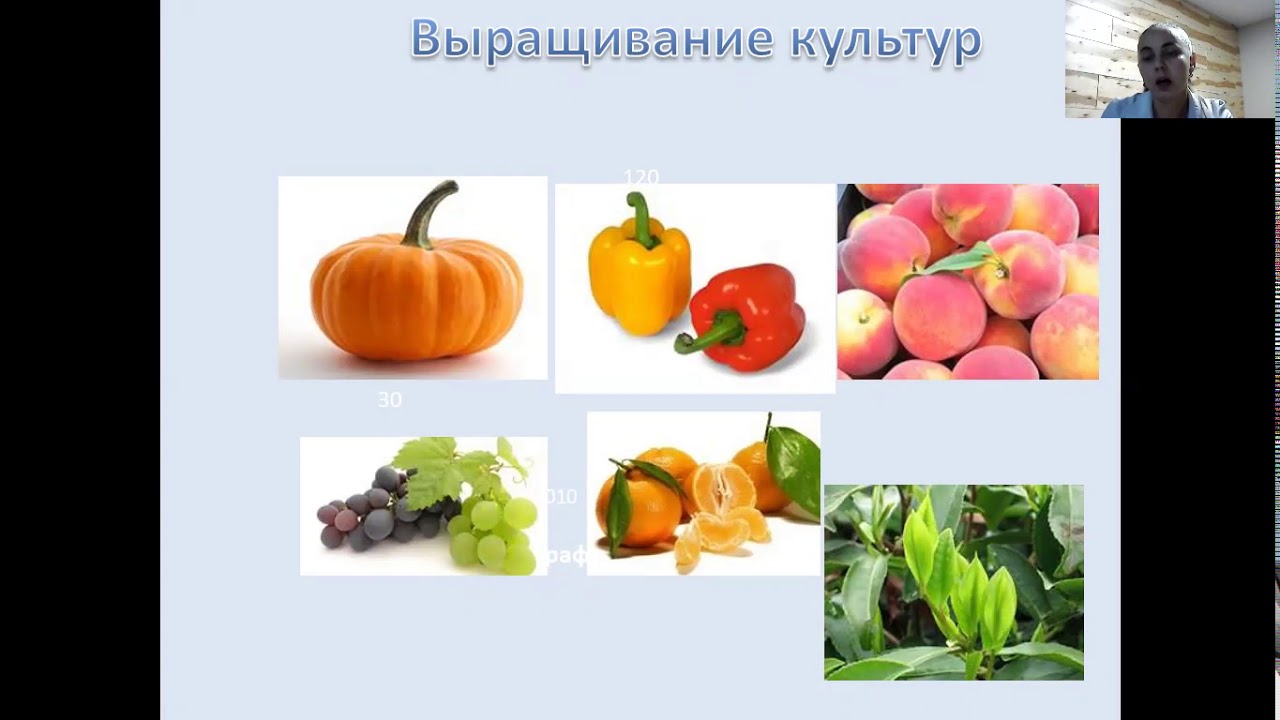 "Зона субтропиков России" - YouTube