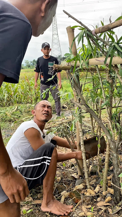 Ngambil Genteng Aja Bisa Seribet Ini! Cemong & Jeki Bikin Geleng Kepala! #shortsfeed #shorts #comedy