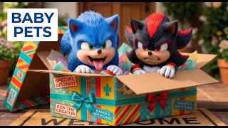 Sonic & Shadow Baby Pets Adorable Adventures in the Backyard  High Quality Animation screenshot 1