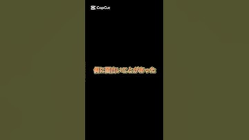 RX武装戦線(面白い￼瞬間) #codm#codモバイル#決勝時刻m創作者